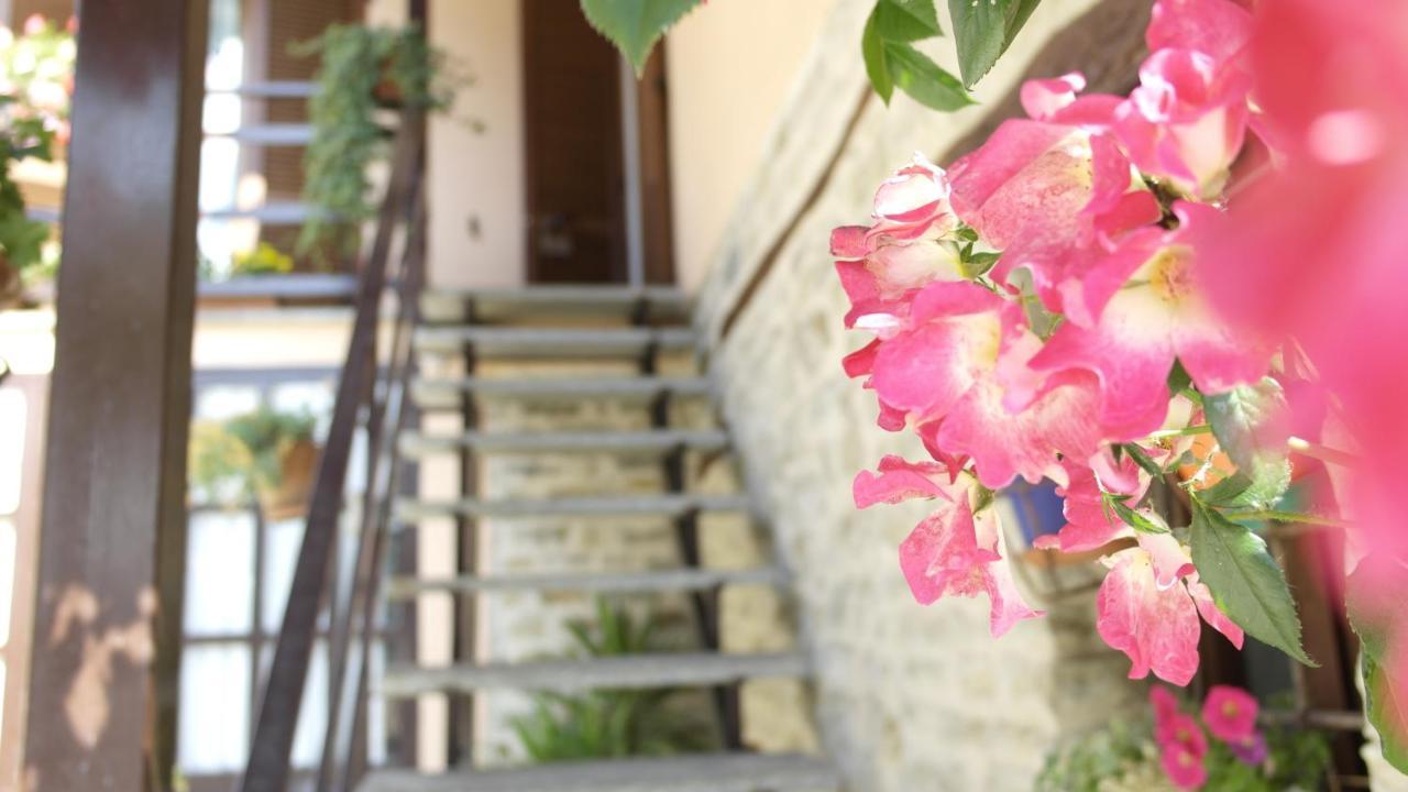 Cit Ni Bed and Breakfast Bosia Εξωτερικό φωτογραφία
